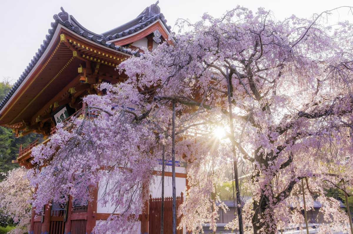 Chùa Katsuo-ji