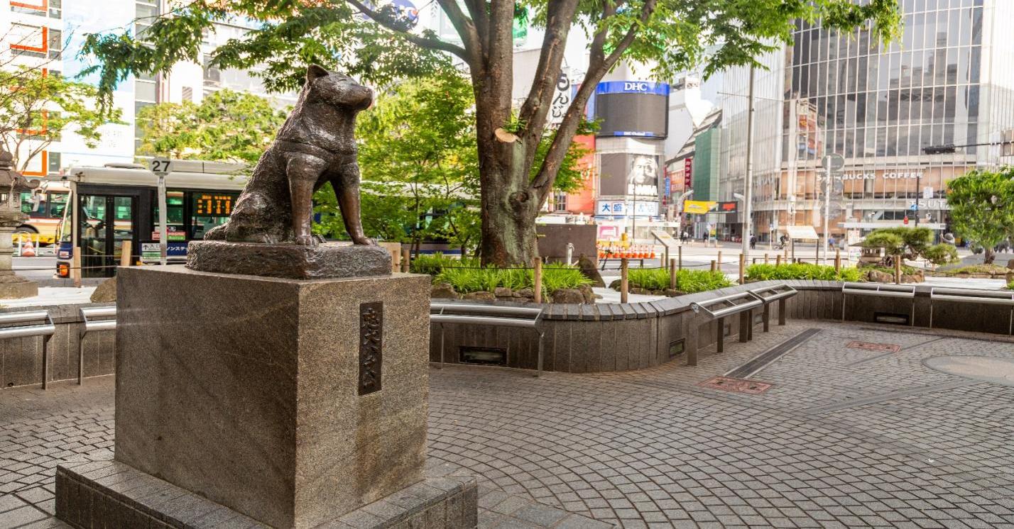 Tượng chú chó Hachiko – biểu tượng lòng trung thành của Nhật Bản