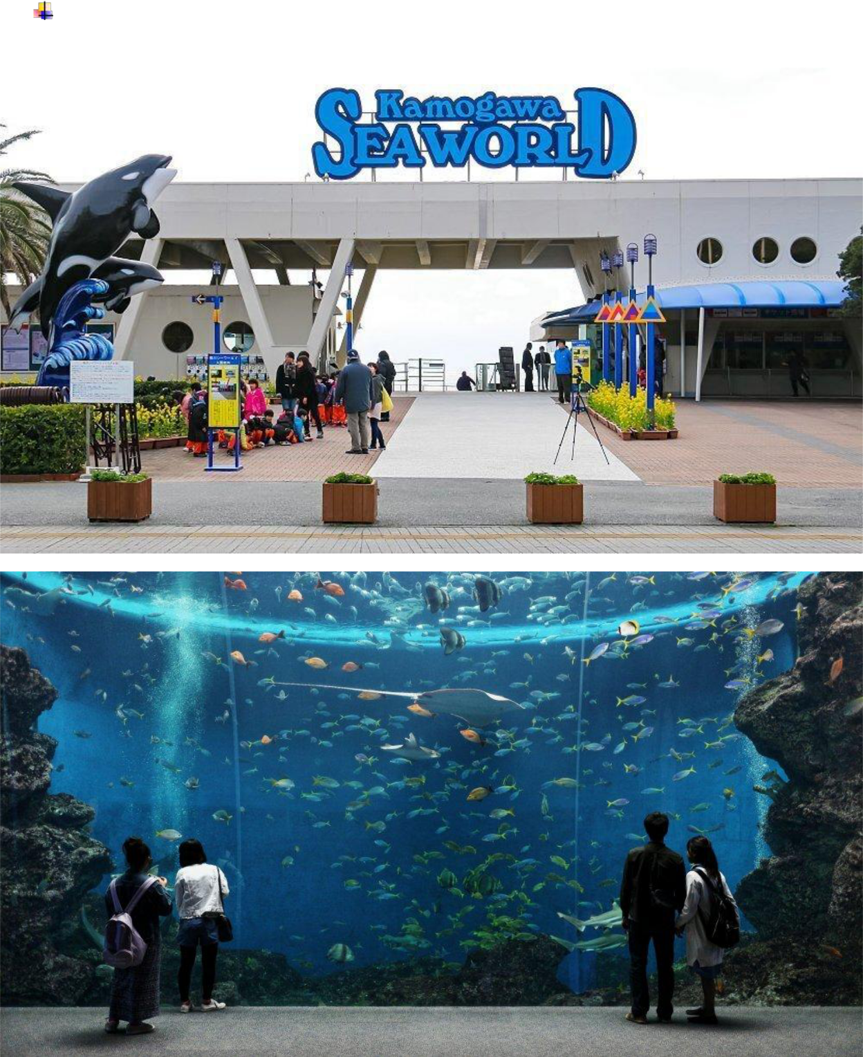 Kamogawa Seaworld