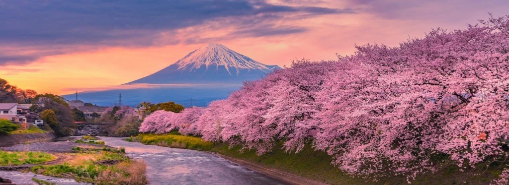 Núi Phú Sĩ vào mùa xuân