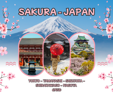 LÀNG CỔ SHIRAKAWAGO 6N5Đ (NOSHOP): TOKYO - YAMANASHI - SHIZUOKA - SHIRAKAWAGO - NAGOYA